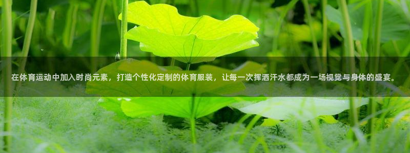 vsport体育官网下载招商电话地址：在体育运动中加