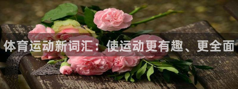 vsport体育官网下载娱乐：体育运动新词汇：使运动