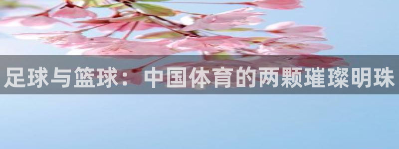 vsport体育官方平台体育：足球与篮球：中国体育的