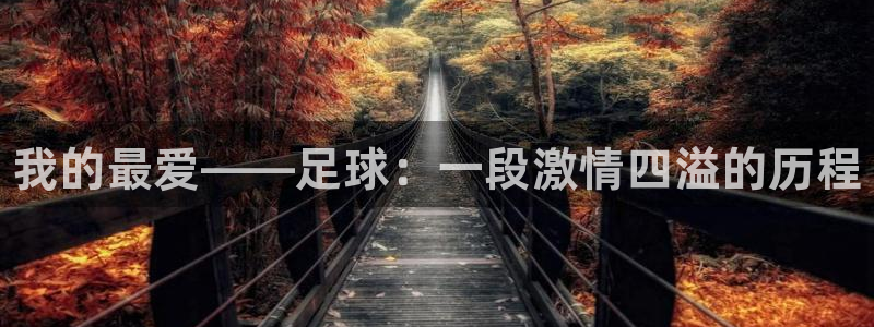 vsport体育官网下载：我的最爱——足球：一段激情