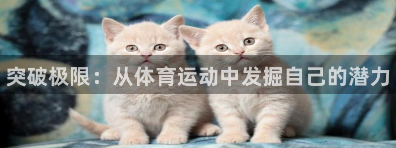 vsport体育官网下载平台是正规平台吗知乎：突破极