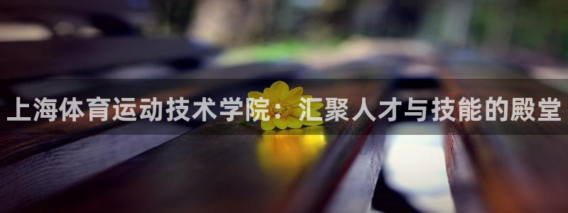 vsport体育官网下载官方客服电话：上海体育运动技