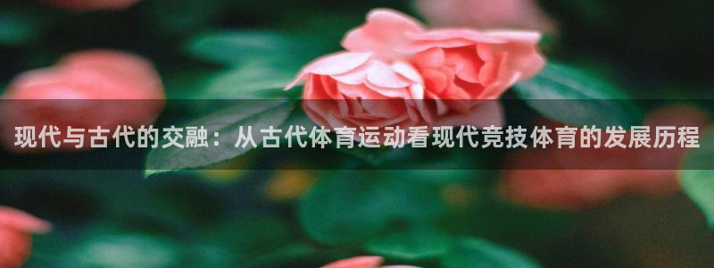 vsport体育官网下载平台注册要钱吗：现代与古代的