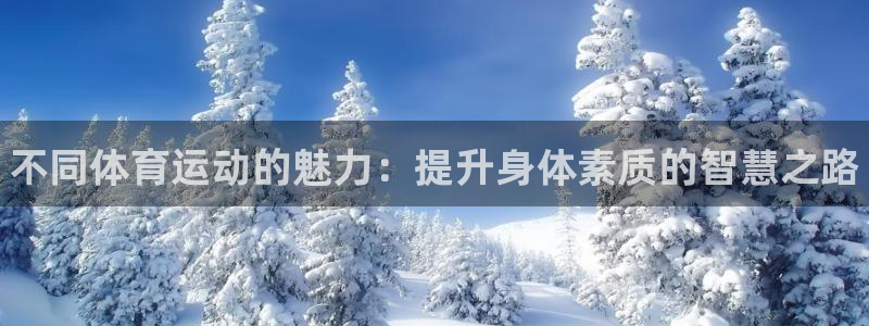 vsport体育官网下载平台是正规平台吗：不同体育运