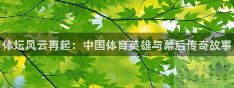 vsport体育官方正版app娱乐代理怎么样：体坛风