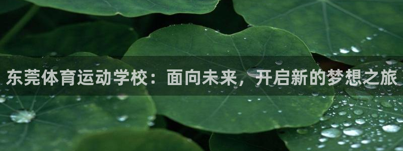 vsport体育官网下载平台注册要钱吗：东莞体育运动
