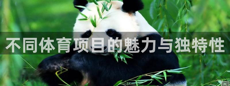 vsport体育官网下载平台是正规平台吗：不同体育项