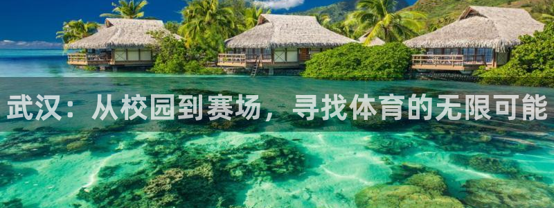 vsport体育官方正版app集团