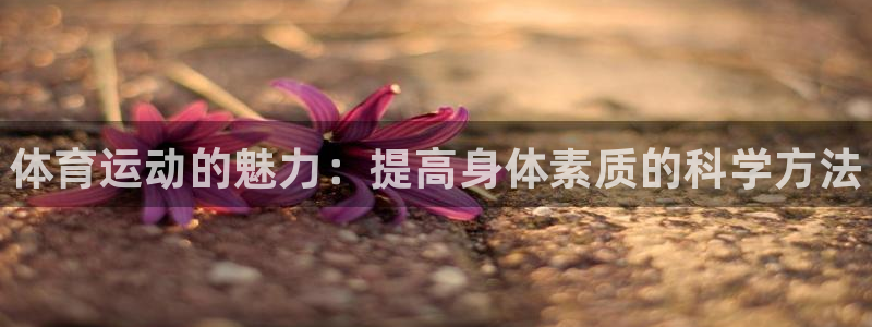 vsport体育官方正版app娱乐代理怎么样：体育运动的魅力