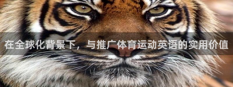 vsport体育官网下载招商
