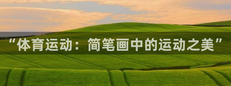 vsport体育官网下载平台是正规平台吗：“体育运动