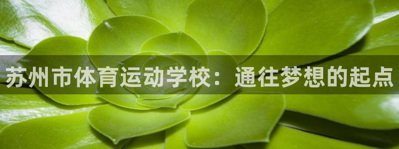 vsport体育官网下载招商电话地址：苏州市体育运动学校：通