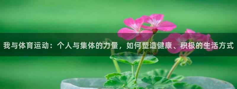 vsport体育官网下载联系电话：我与体育运动：个人与集体的