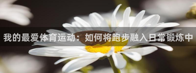 vsport体育官网下载平台注册：我的最爱体育运动：如何将跑