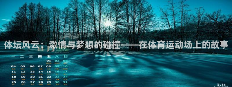 vsport体育官网下载平台是正规平台吗安全吗：体坛风云：激