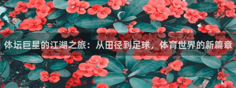 vsport体育官网下载平台注册流程视频：体坛巨星的江湖之旅