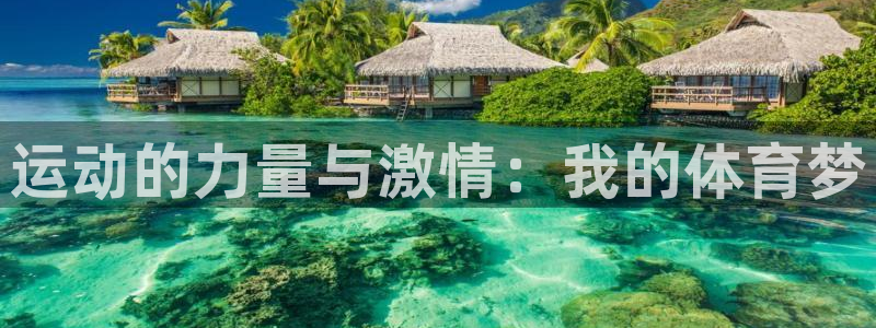 vsport体育官方正版app娱乐平台：运动的力量与激情：我