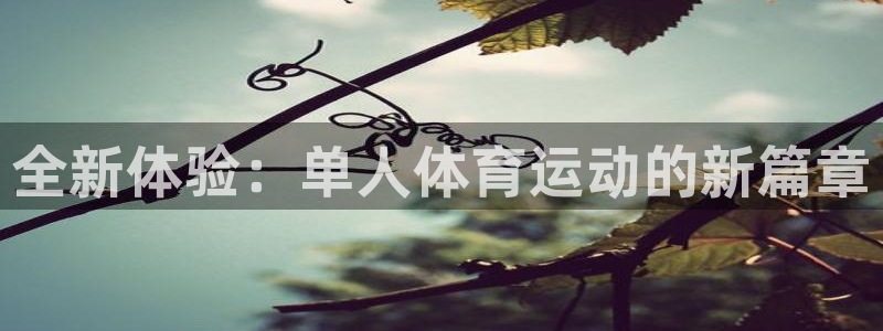 vsport体育官方正版app集团官网网址：全新体验：单人体