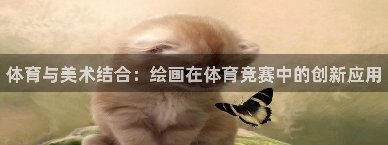 vsport体育官方正版app集团logo