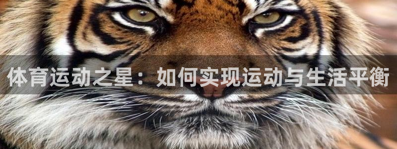 vsport体育官方正版app娱乐首页网站大全