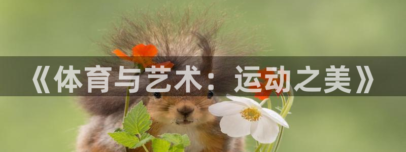 vsport体育官方正版app娱乐平台：《体育与艺术：运动之