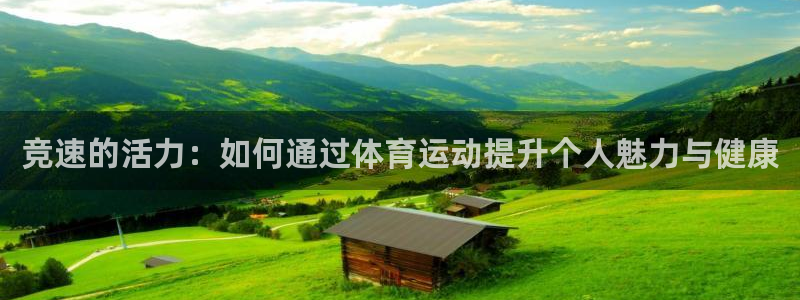 vsport体育官方正版app娱乐网站：竞速的活力：