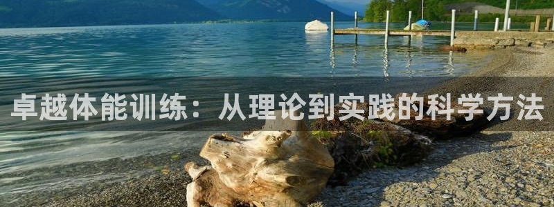 vsport体育官方正版app集团logo：卓越体能训练：从