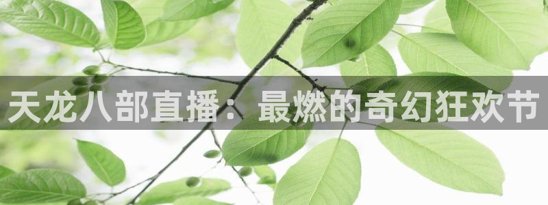 柠檬体育免费高清直播：天龙八部直播：最燃的奇幻狂欢节