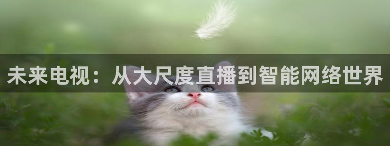 柠檬体育直播官网：未来电视：从大尺度直播到智能网络世界